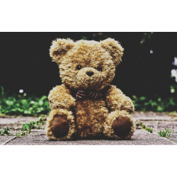 Peluche petit ours brun